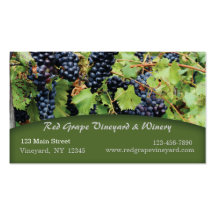 Red Grapes Vineyard Business Card