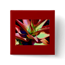 Red & Green Agave