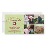 Red green dove peace on earth holiday greeting photo cards