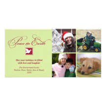 Red green dove peace on earth holiday greeting custom photo card