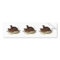 Red Grouse Bumper Sticker