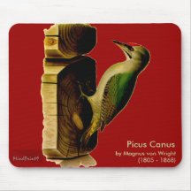Red-head Woodpecker Mouse Pad