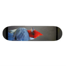 Red Headed Cardinal Bird Skateboard