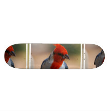 Red Headed Cardinal  Skateboard