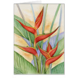 Red Heliconia Tropical Flowers Painting - Multi cards