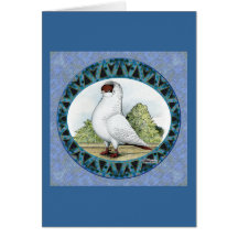 Red Helmet Pigeon Design Greeting Cards