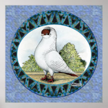 Red Helmet Pigeon Design Poster