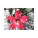 Red Hibiscus Canvas Prints