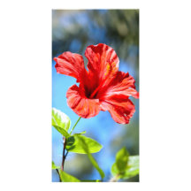 Red Hibiscus Custom Photo Card