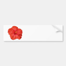 Red Hibiscus Flower  Bumper Stickers