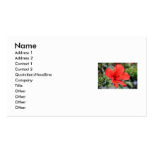 Red Hibiscus Flower Business Card