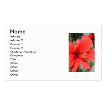 Red Hibiscus Flower Business Card