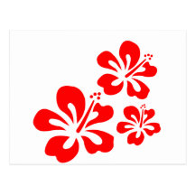 Red Hibiscus Flower Postcards