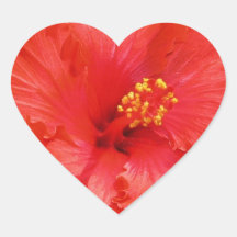 Red Hibiscus Flower  Stickers
