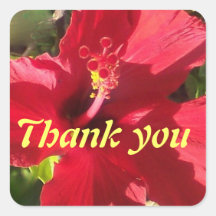 Red Hibiscus Flower Thank You Square Sticker