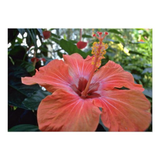 Red Hibiscus flowers Personalized Invites