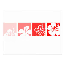 Red Hibiscus pastel design Post Cards