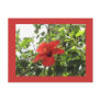 Red Hibiscus Postcard