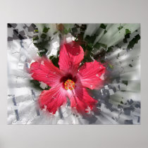 Red Hibiscus