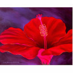 Red Hibiscus Tropical Flower Painting - Multi photo sculptures