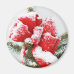 Red Holiday Bow Dusted With Snow | Christmas Xmas Magnet