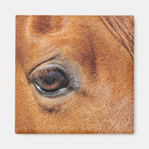Red Horse Eye Magnet