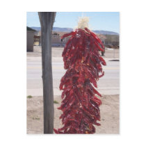 red hot chili peppers in Hatch New Mexico Post Card