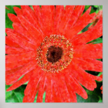 Red Impression Poster