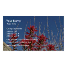 Red Indian Paintbrush Closeup flowers Business Card Template