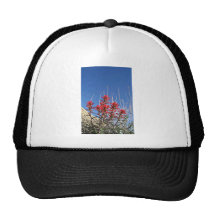 Red Indian Paintbrush Closeup flowers Mesh Hat