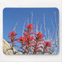 Red Indian Paintbrush Closeup flowers Mousepad