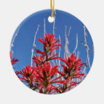 Red Indian Paintbrush Closeup flowers Ornaments