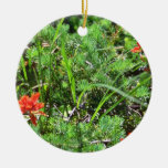 Red Indian Paintbrush flowers Ornaments