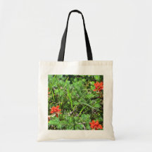 Red Indian Paintbrush flowers Tote Bag