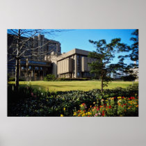 Red Johannesburg, South Africa flowers Poster