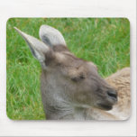 Red kangaroo mousepads
