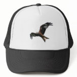 Red Kite Hat