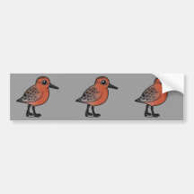Red Knot Bumper Sticker