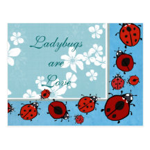 Red Ladybug Postcard
