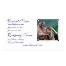 Red Langur Monkeys Business Cards