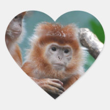 Red Langur Monkeys Heart Sticker