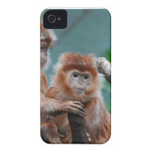 Red Langur Monkeys iPhone 4 Covers