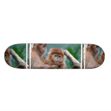 Red Langur Monkeys Skateboard