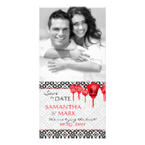 Red Lanterns SD Photo Card