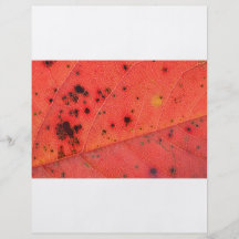 Red Leaf Macro Flyer Design