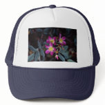 Red Leaf Rose 'Rose Rubrifolia' Roses Mesh Hats