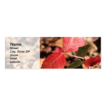 Red Leaves Business Card