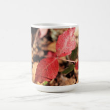 Red Leaves Coffee Mugs