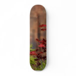 Red Leaves In Zion National Park Skate Board Decks