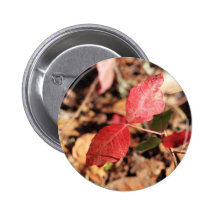 Red Leaves Pin
